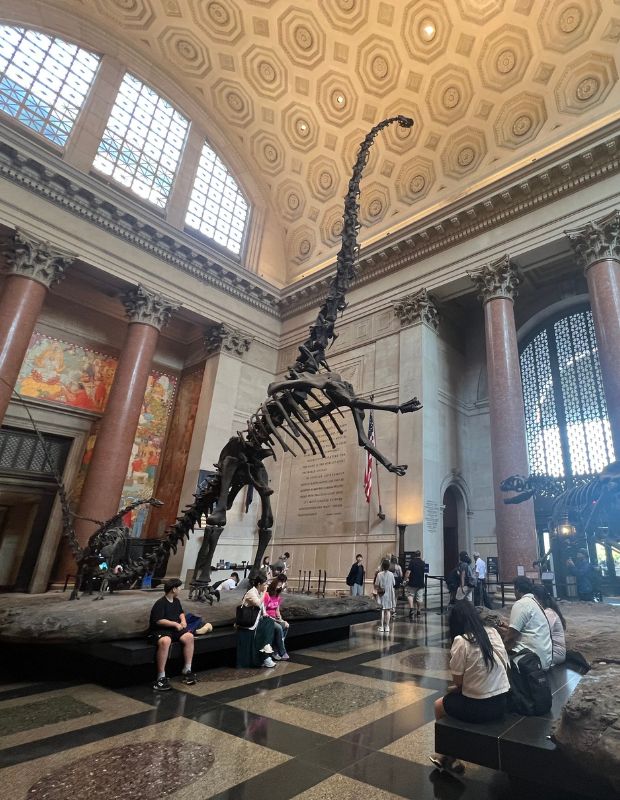Natural History Museum